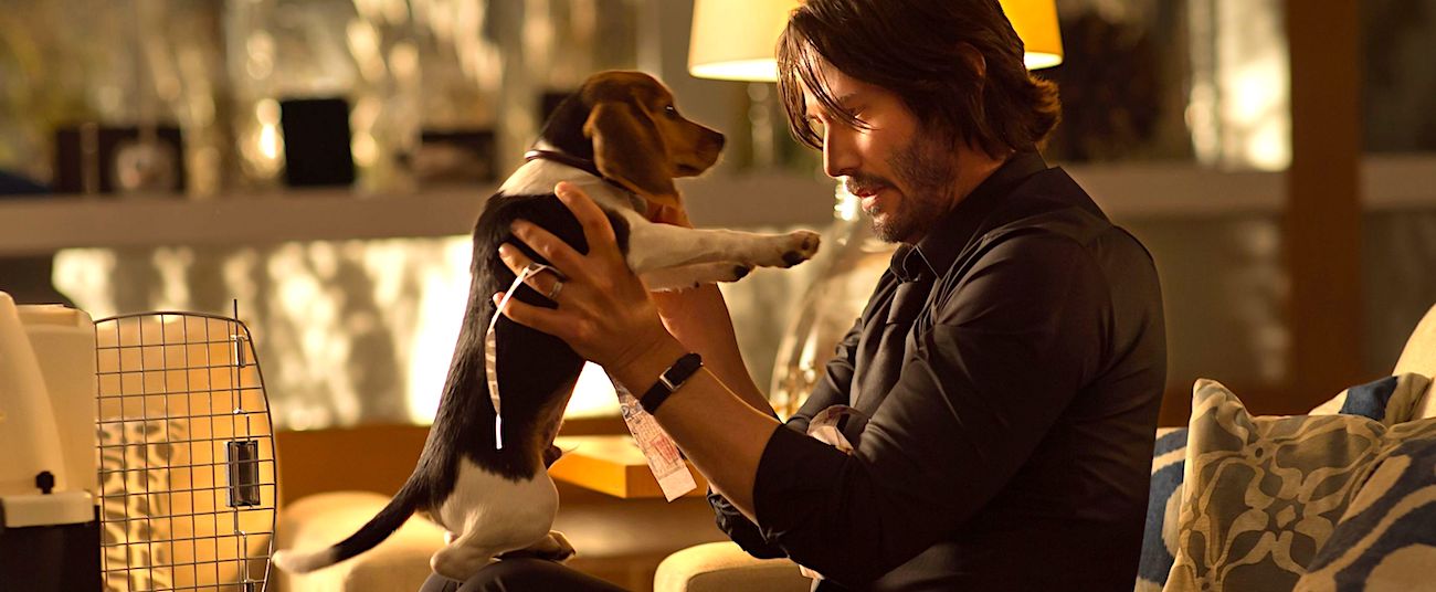 wick: 'He was gracious': Keanu Reeves mourns 'John Wick' co-star
