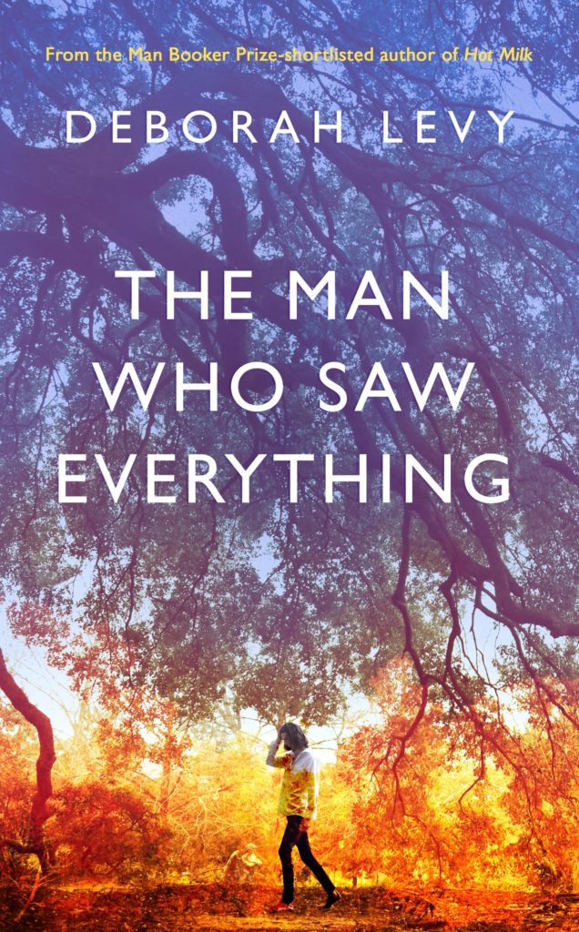 deborah levy the man who saw everything review