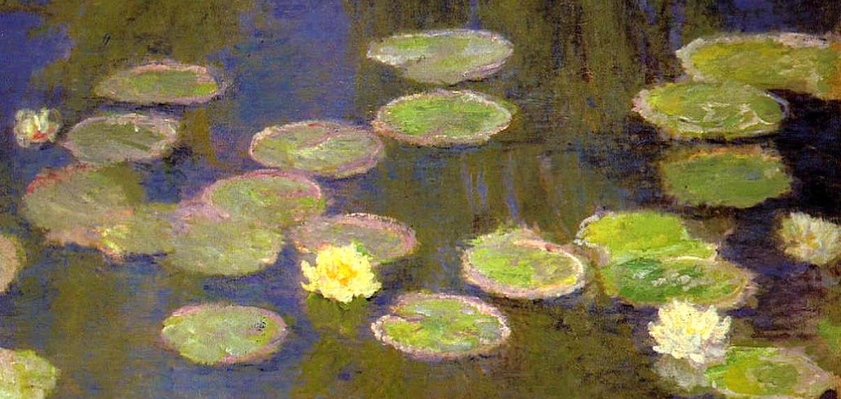 water-lilies