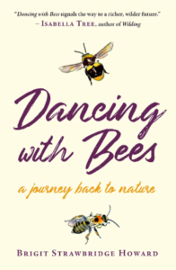 dancing with bees