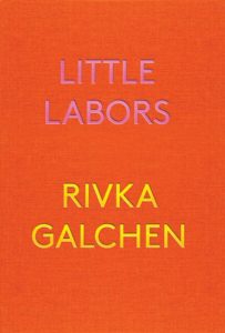 Rivka Galchen, Little Labors