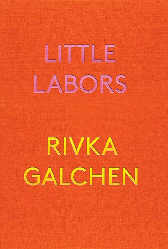 Rivka Galchen, Little Labors