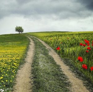 path