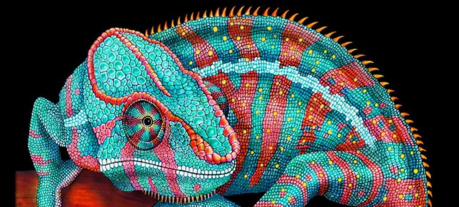 Exotic Pets, Wild Blood, and the Search for Human-Animal Connection ‹  Literary Hub