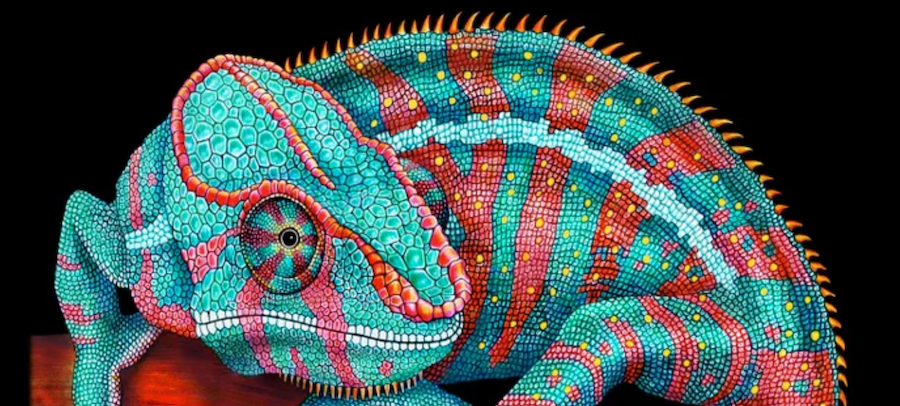 Exotic Pets Wild Blood And The Search For Human Animal Connection Literary Hub