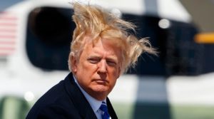 Trump's hair