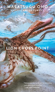 Lion Cross Point