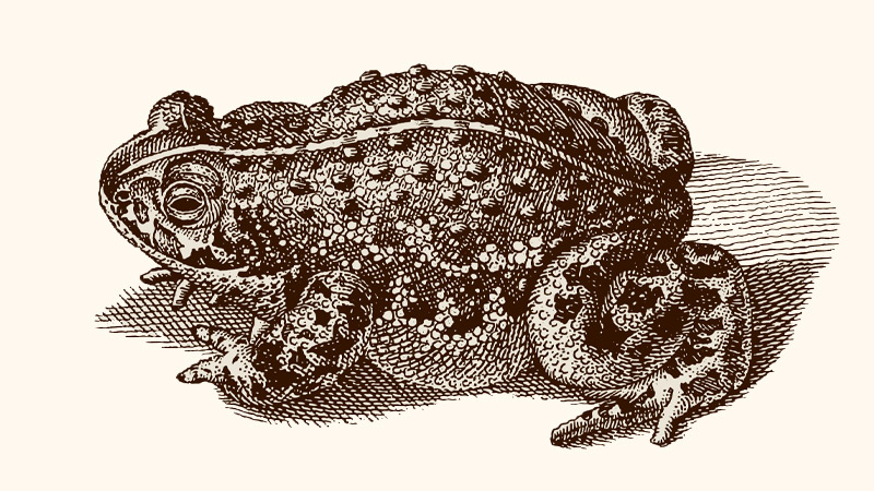 Umberto Eco on the Elusive Concept of Ugliness