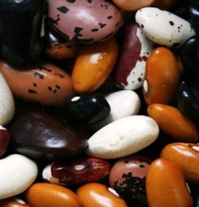 beans