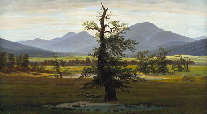 The 18 Most Memorable Trees in Literature ‹ Literary Hub