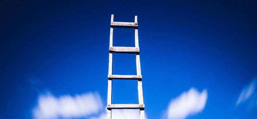 ladder