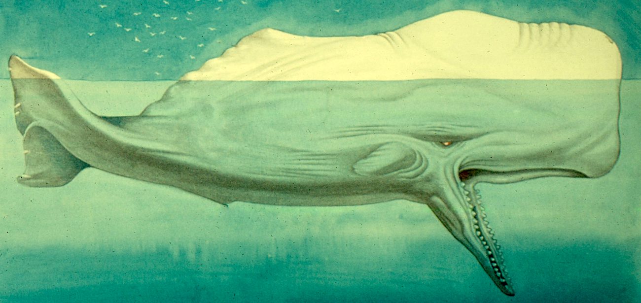 What genre is moby dick