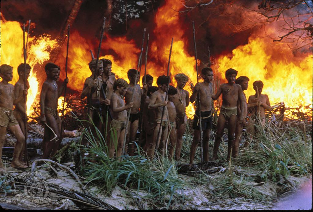 lord of the flies opening