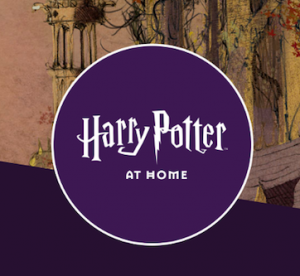 harry potter at home