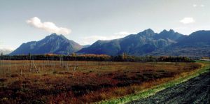 palmer alaska