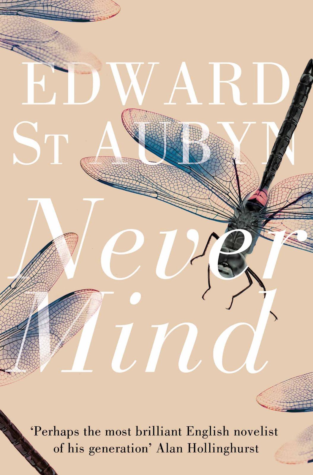 Edward St. Aubyn, Never Mind