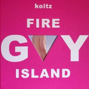 gay fire island