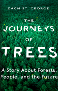 The Journeys of Trees