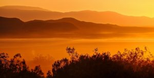 mojave desert