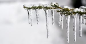 icicles