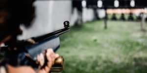 gun