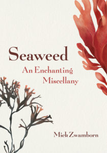 Seaweed