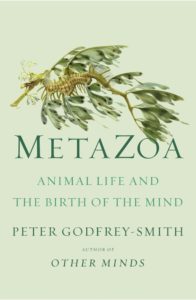 Peter Gofrey-Smith, Metazoa: Animal Life and the Birth of the Mind (FSG, November 10)