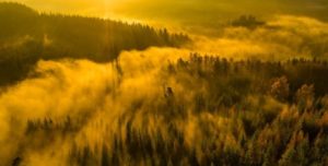 clouds
