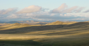 Mongolian steppes