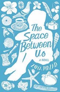 space between us_zoya pirzad