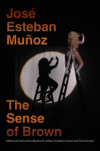 The Sense of Brown by José Esteban Muñoz