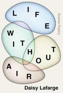 Life Without Air by Daisy Lafarge