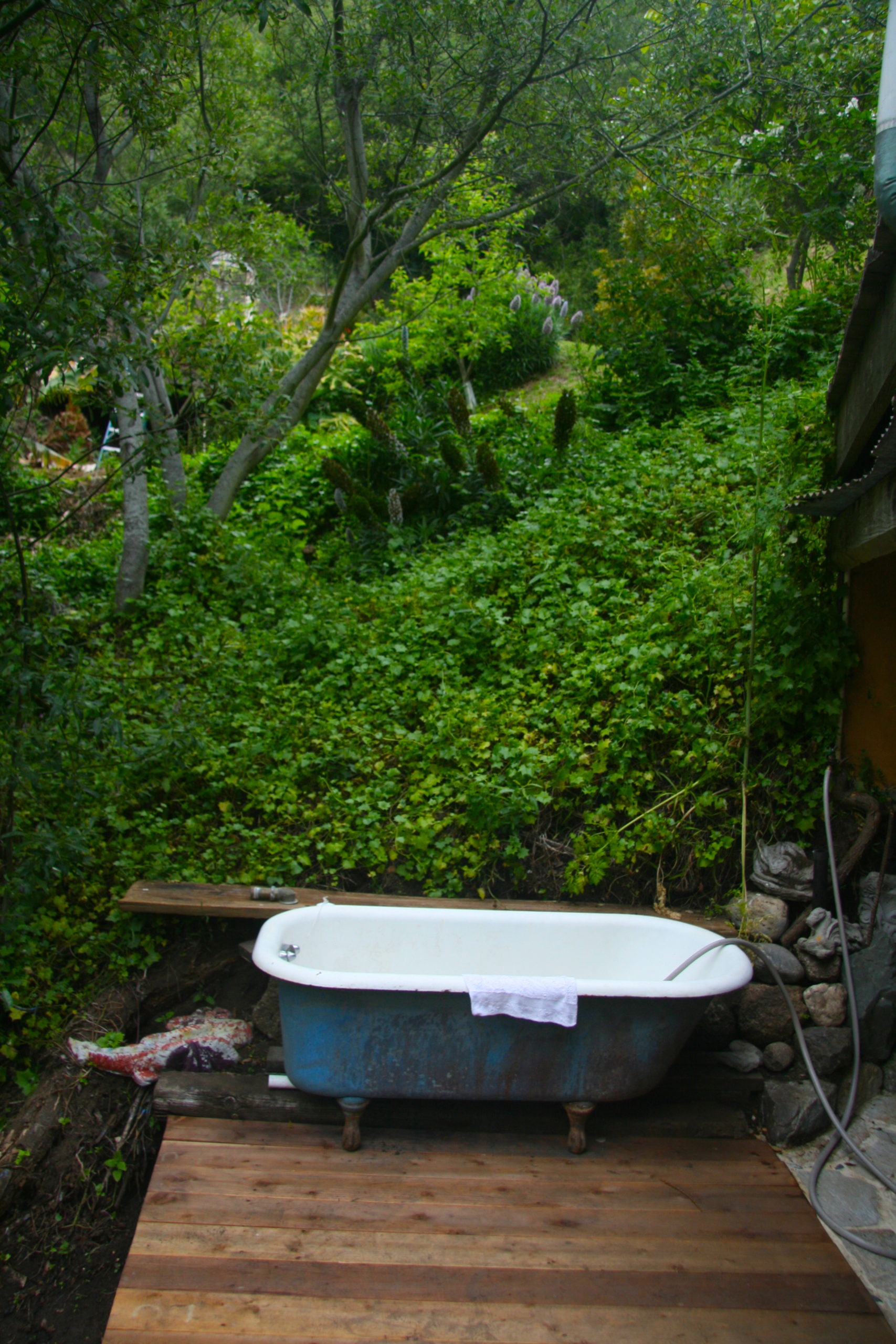 A People’s History of Bathing ‹ Literary Hub