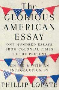 essay on america