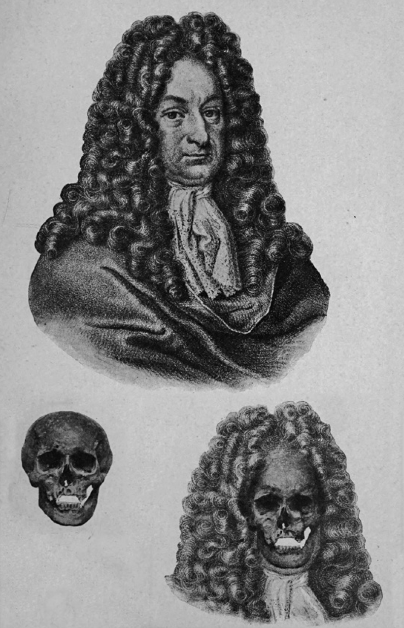 How Come We Don’t Have a Philosophy of Wigs? ‹ Literary Hub