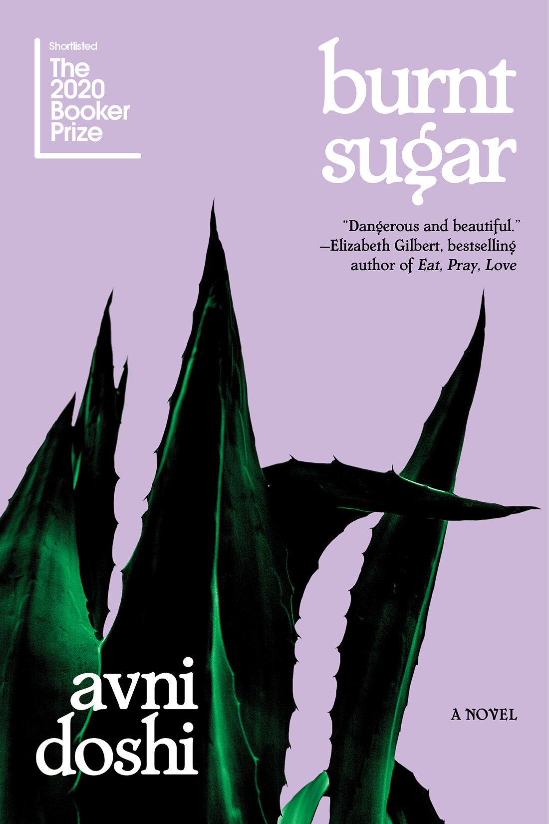 Avni Doshi, Burnt Sugar