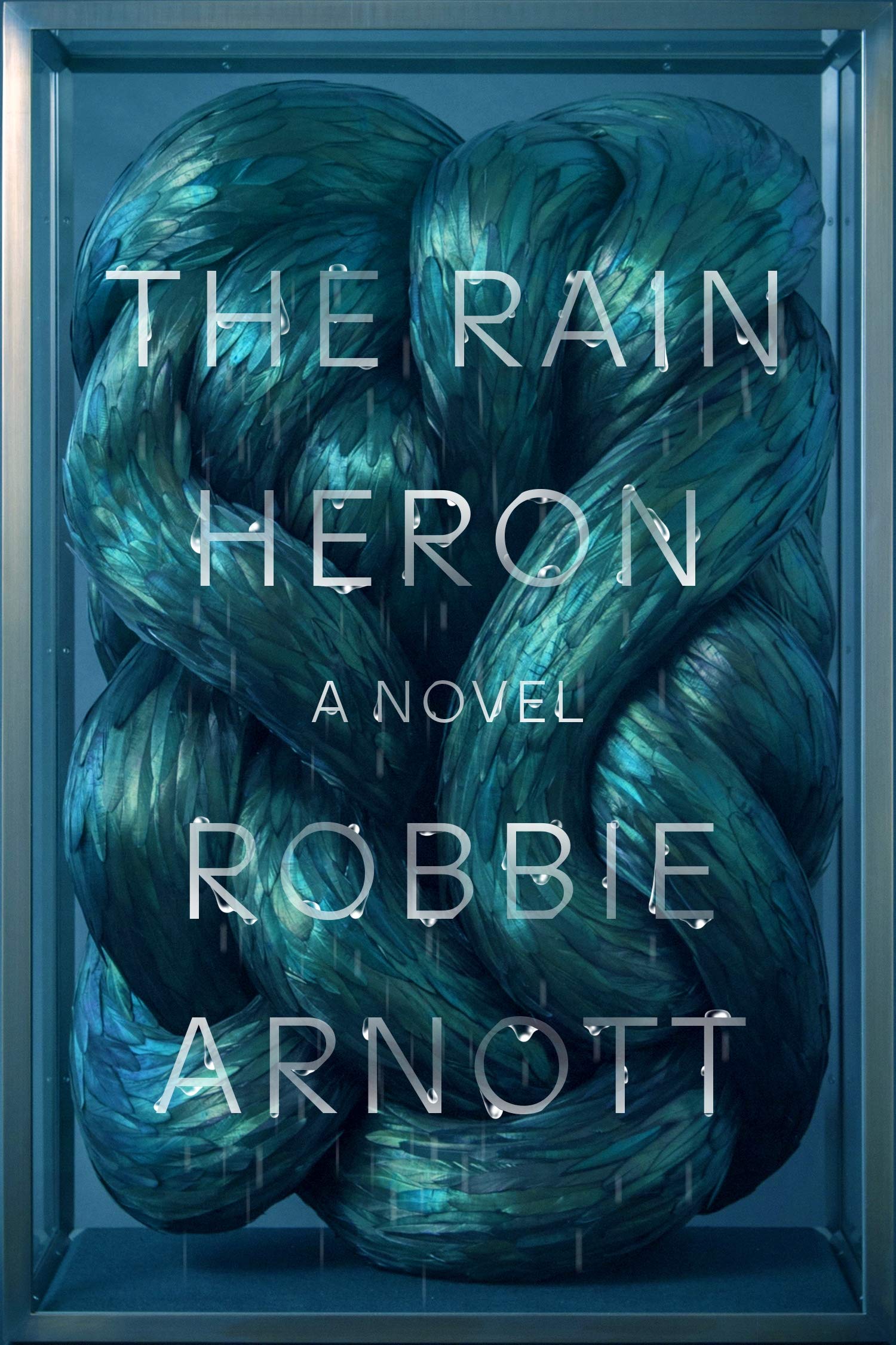 Robbie Arnott, The Rain Heron