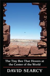 David Searcy, The Tiny Bee That Hovers at the Center of the World,