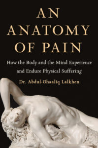 an anatomy of pain