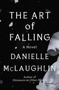 The Art of Falling by Danielle McLaughlin