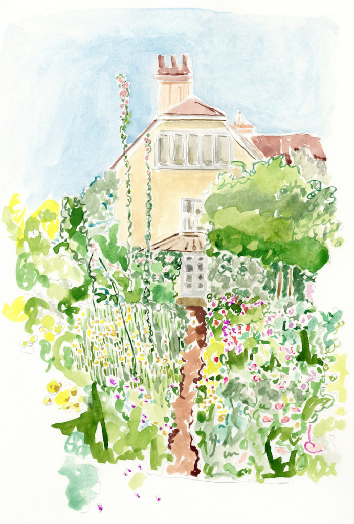 garden sketch