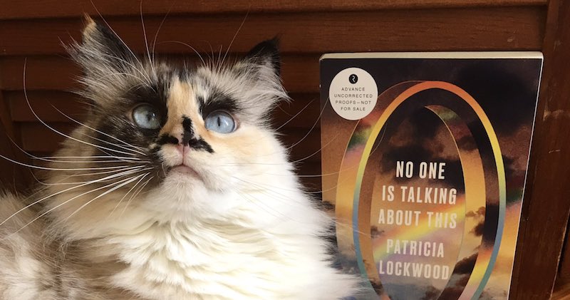 All The Memes In Patricia Lockwood S No One Is Talking About This Explained Literary Hub