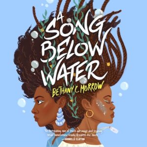 A SONG BELOW WATER audiobook