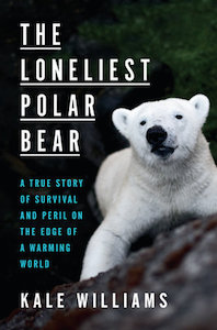 loneliest polar bar