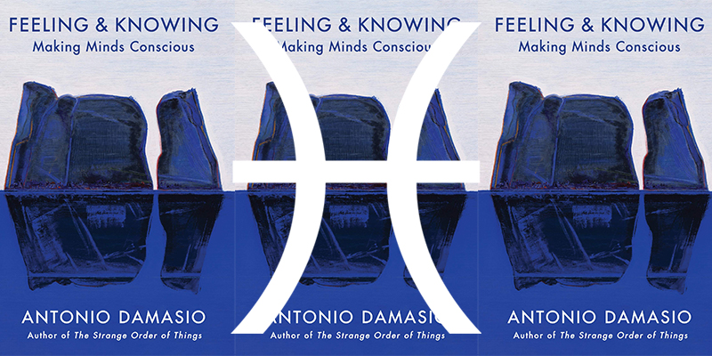 Antonio Damasio  Feeling & Knowing: Making Minds Conscious 