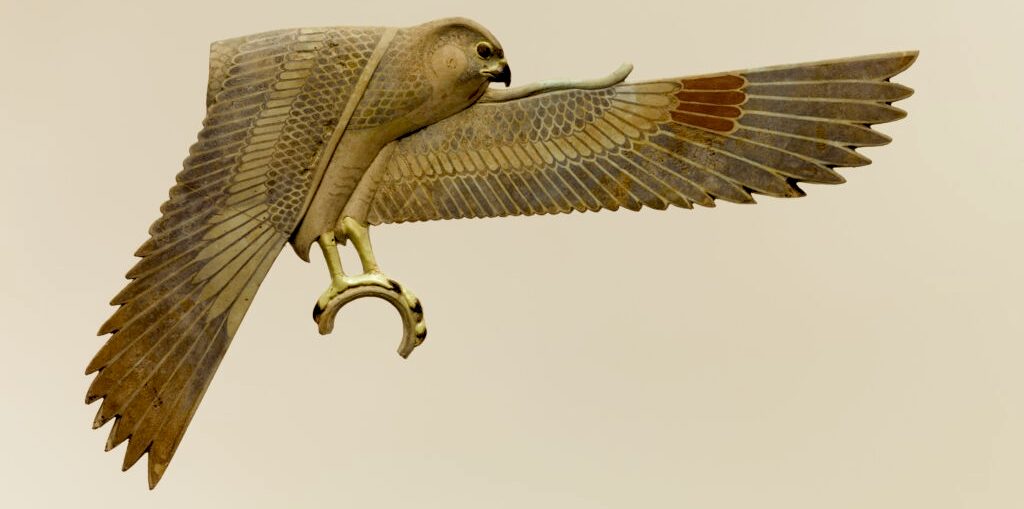 Meet Johnny Rook, the world's smartest bird of prey - The Vagabond