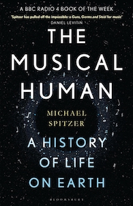 The Musical Human