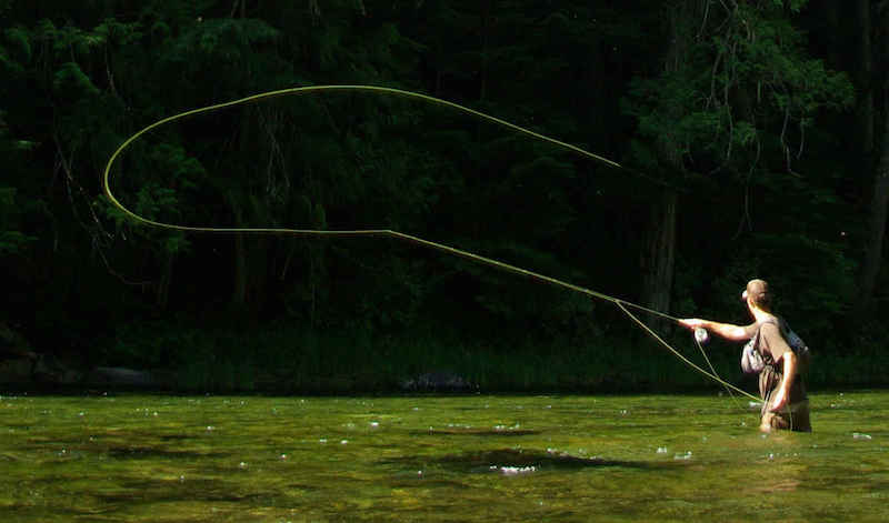 Seeking Stillness and Sunlight: On the Art of Fly-Fishing