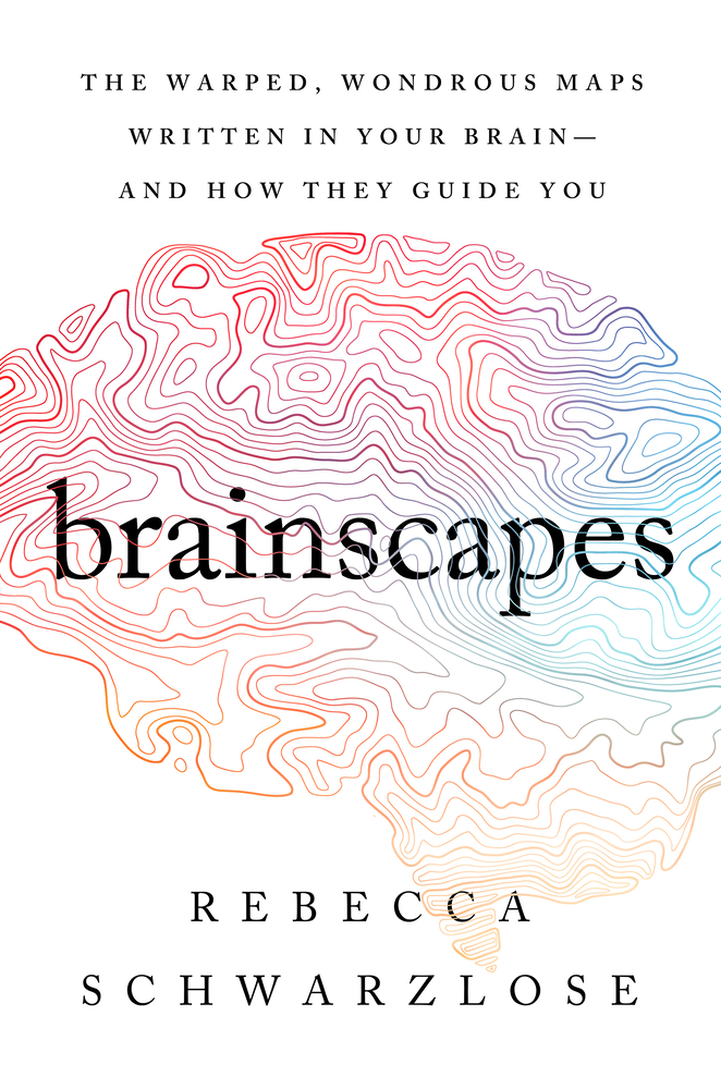Rebecca Schwarzlose, Brainscapes: The Warped, Wondrous Maps Written in Your Brain–And How They Guide You