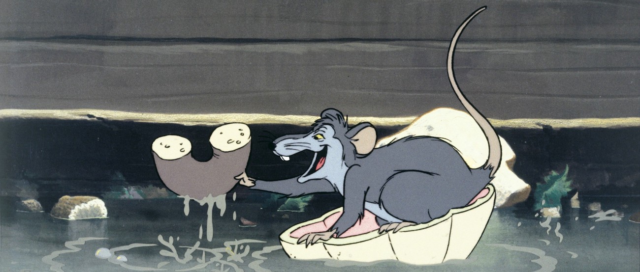 The Strange and Disgusting History of Rat Kings 